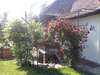 Гостевой дом Casa de vacanta Zsenik Vendeghaz Совата-4