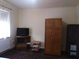 Гостевой дом Casa de vacanta Zsenik Vendeghaz Совата Трехместный номер с собственной ванной комнатой-3