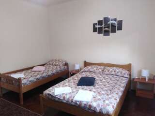 Гостевой дом Casa de vacanta Zsenik Vendeghaz Совата Трехместный номер с собственной ванной комнатой-4