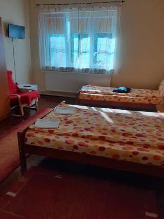 Гостевой дом Casa de vacanta Zsenik Vendeghaz Совата Трехместный номер с собственной ванной комнатой-6