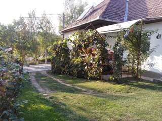 Гостевой дом Casa de vacanta Zsenik Vendeghaz Совата-1