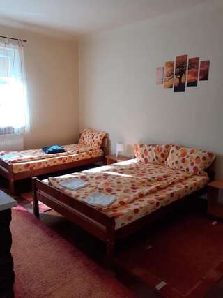 Гостевой дом Casa de vacanta Zsenik Vendeghaz Совата Трехместный номер с собственной ванной комнатой-15