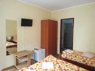 Гостевой дом Casa de vacanta Zsenik Vendeghaz Совата Трехместный номер с собственной ванной комнатой-21