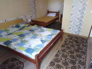 Гостевой дом Casa de vacanta Zsenik Vendeghaz Совата Трехместный номер с собственной ванной комнатой-22