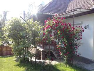 Гостевой дом Casa de vacanta Zsenik Vendeghaz Совата-4